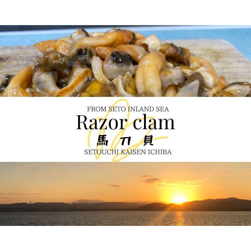 ◆現品限り★瀬戸内産マテ貝むき身　CAS凍結　鮮度抜群おいしいよ　３P |  | 03