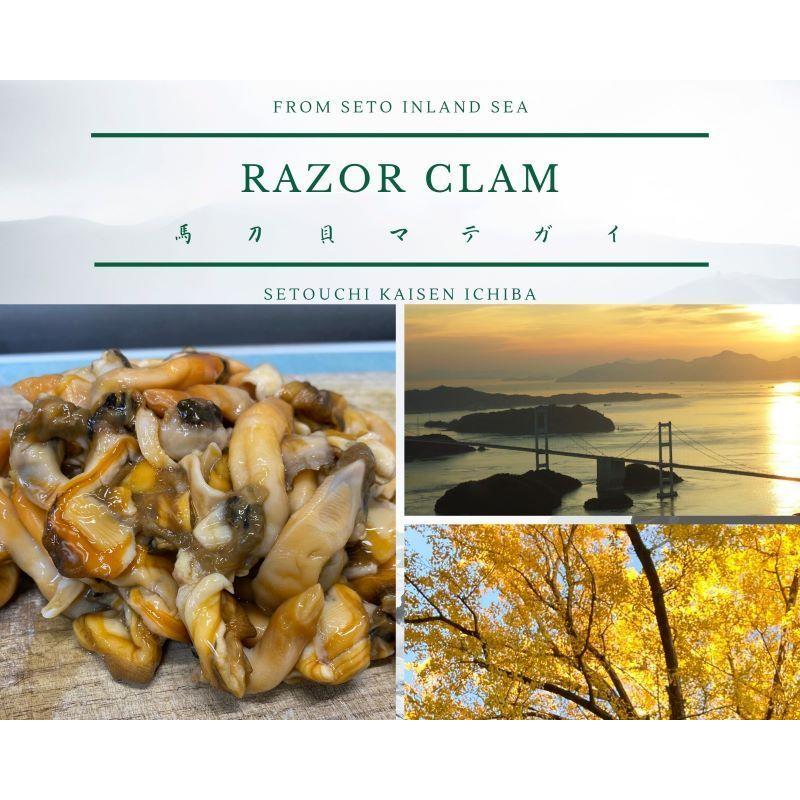 ◆現品限り★瀬戸内産マテ貝むき身　CAS凍結　鮮度抜群おいしいよ　３P |  | 05