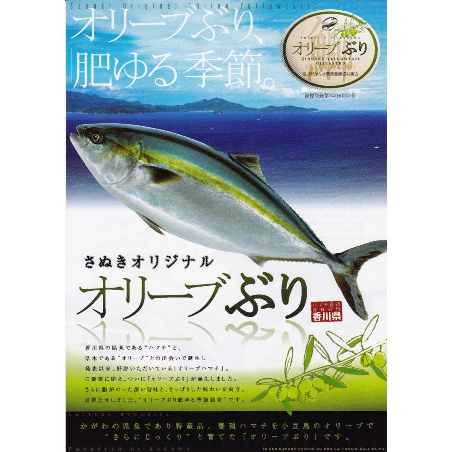 福袋セール 1本分 いけすより直送 鮮度抜群 コスパ最高 活〆お刺身用オリーブぶりをお届けします 期間限定販売 今です オリーブブリをどうぞ 魚介類 海産物