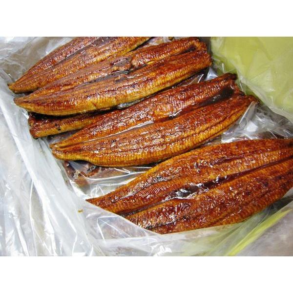 ○現品限り!激安特価!! 当社おすすめ厳選特大うなぎの蒲焼5kg ○現品限り!激安特価!! 当社おすすめ厳選特大うなぎの蒲焼5kg