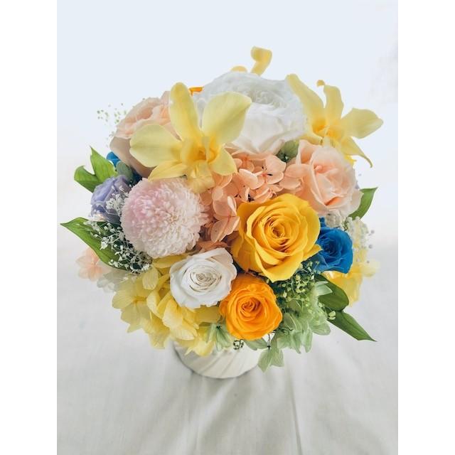 期間限定特価 プリザーブドフラワーアレンジ 薔薇とポンポンマム デンファレの花畑 フラワーケース付き St Rose5 世都華プリザーブドフラワーギフト 通販 Yahoo ショッピング 在庫一掃 Www Iccostierovico Edu It