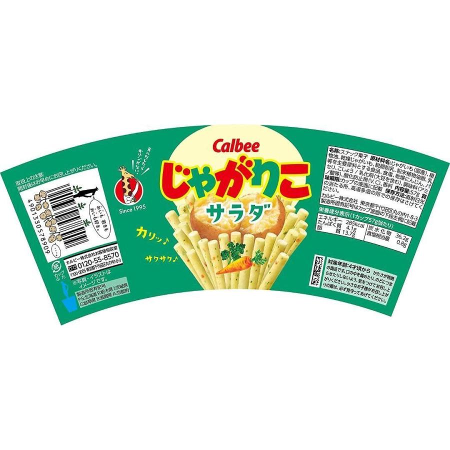 じゃがりこ 【組み合わせ自由アソートセット】カルビー じゃがりこ×12