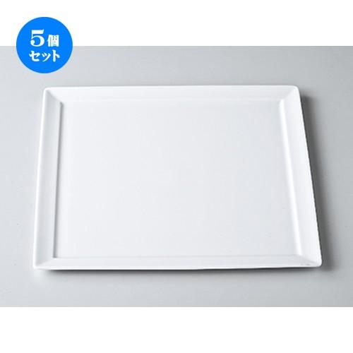 5個セット モダンスタイル 白磁ODH25cm正角皿 ［ 22.3 x 10.6cm ］ 【 レストラン ホテル カフェ 洋食器 飲食店 業務用 】
