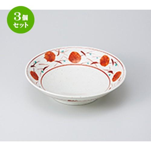 3個セット めん皿 和食器 / 錦草花盛鉢 寸法：25 x 6.4cm