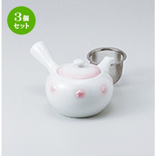 3個セット 急須 和食器 / 染付急須 紅梅（2100-4） 寸法：16 x 10.5 x 9cm ・ 350cc