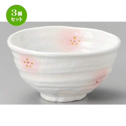 【石木文】白　てふてふプレート 食器　ホワイト 石木文】白 てふてふプレート 食器 ホワイト