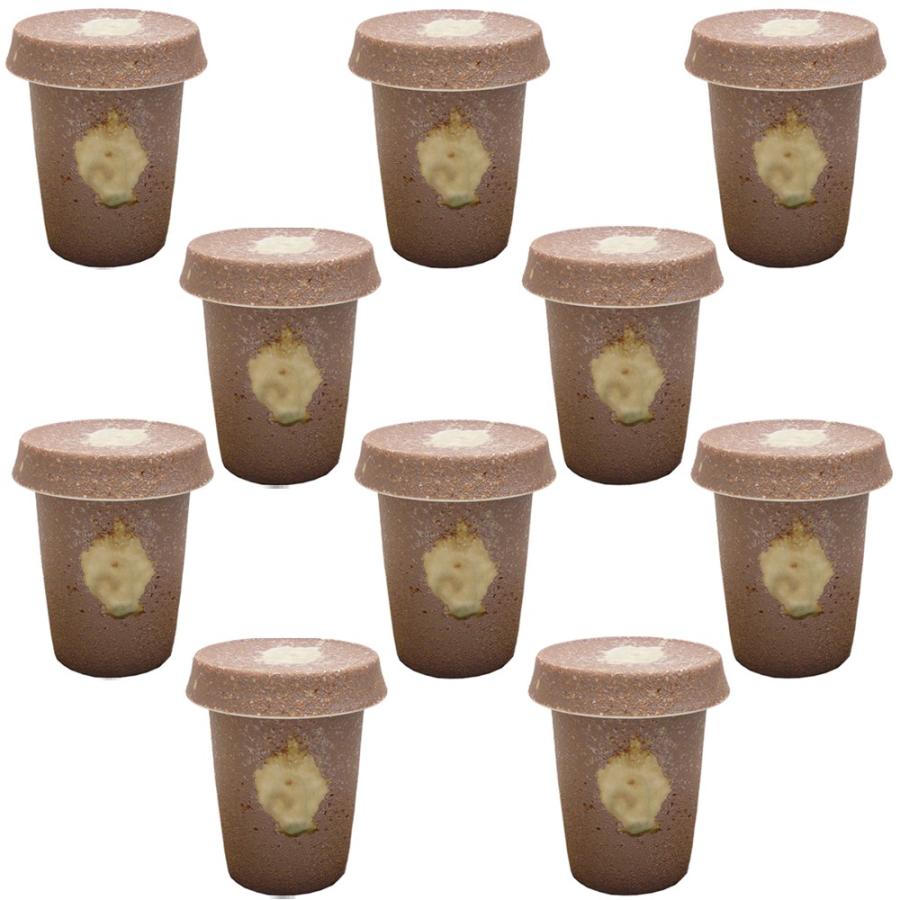 10個セット ☆ ヒレ酒 ☆伊賀ヒレ酒 [ 6.7 x 9cm (180cc) 200g ] 【 割烹 居酒屋 和食器 飲食店 業務用 】