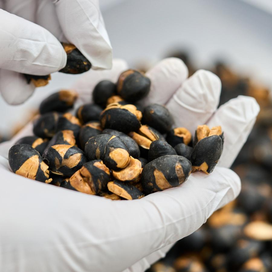 岡山県産作州黒の煎り豆 |  | 02