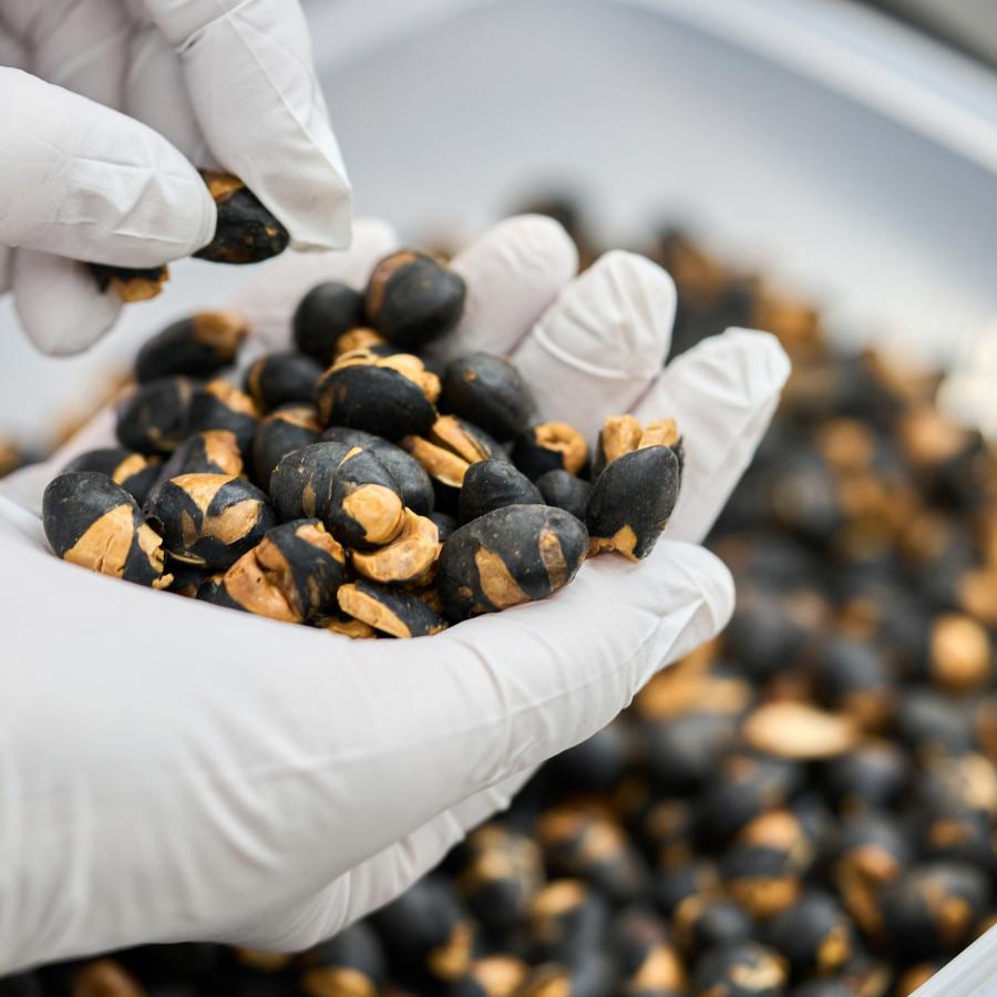 パリパリ海幸山幸ミックス |  | 04