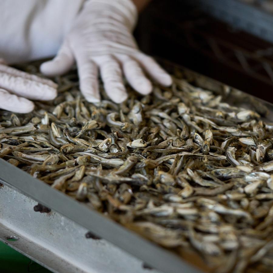 焙煎いりこと作州黒豆 |  | 04