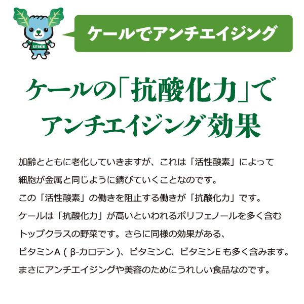 瀬戸内プレミアムThe青汁 1週間お試しセット(7包入)　送料無料　青汁 |  | 06