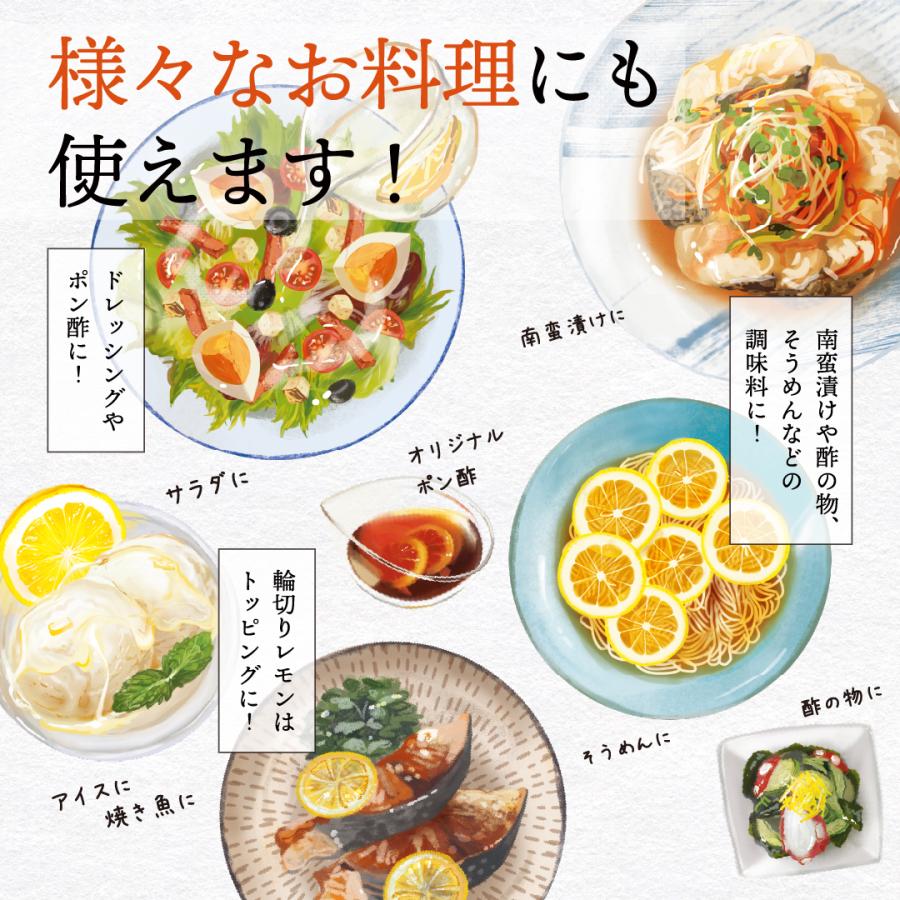 りんごレモン様 商品情報 | 001357 | ヒカリ オーガニックアップルサイダー＋レモン