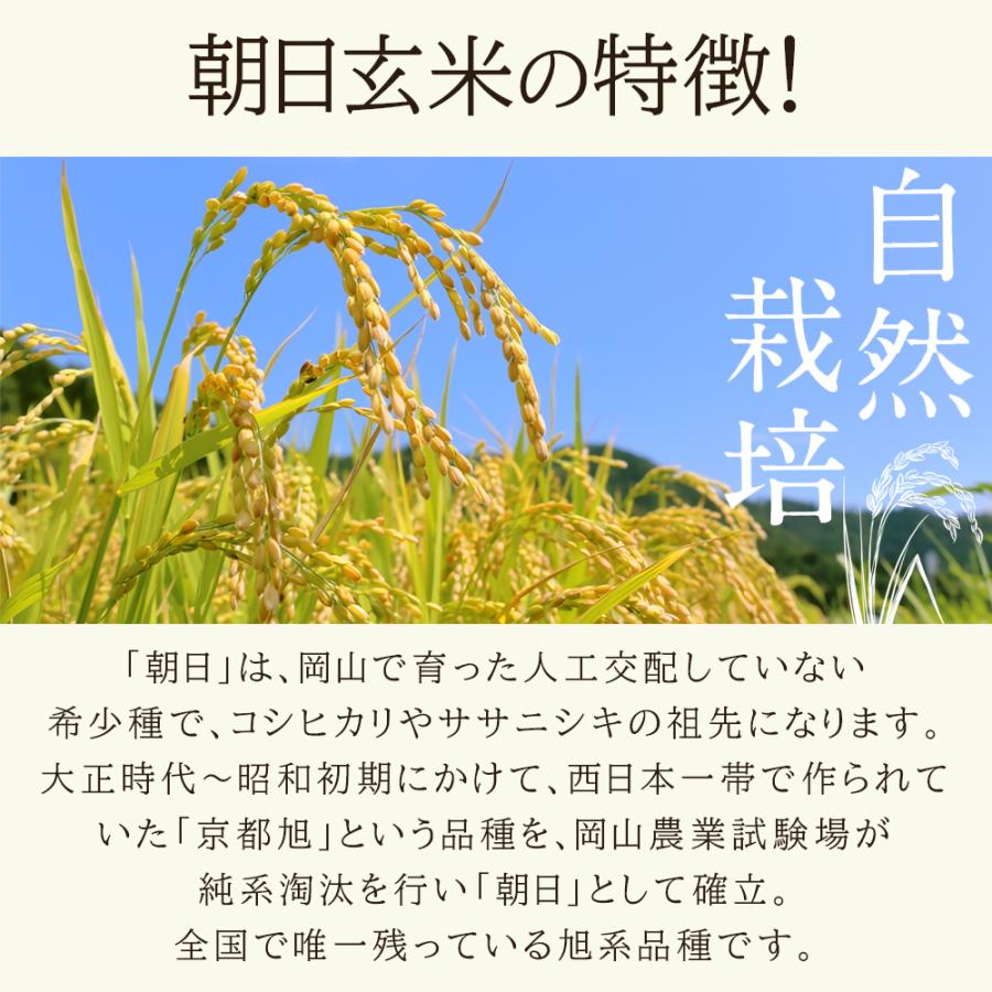 自然栽培 玄米 朝日米 木村式 自然栽培米 20kg 【玄米】 無添加 自然栽培 玄米 朝日米 木村式 自然栽培米 20kg 【玄米】 無添加