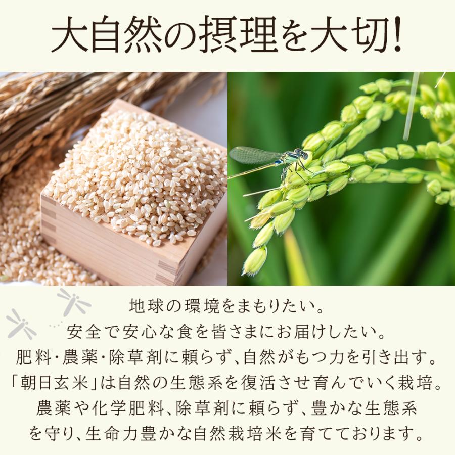 自然栽培 玄米 朝日米 木村式 自然栽培米 15kg 【玄米】自然農法 自然栽培 玄米 朝日米 木村式 自然栽培米 15kg 【玄米】自然農法