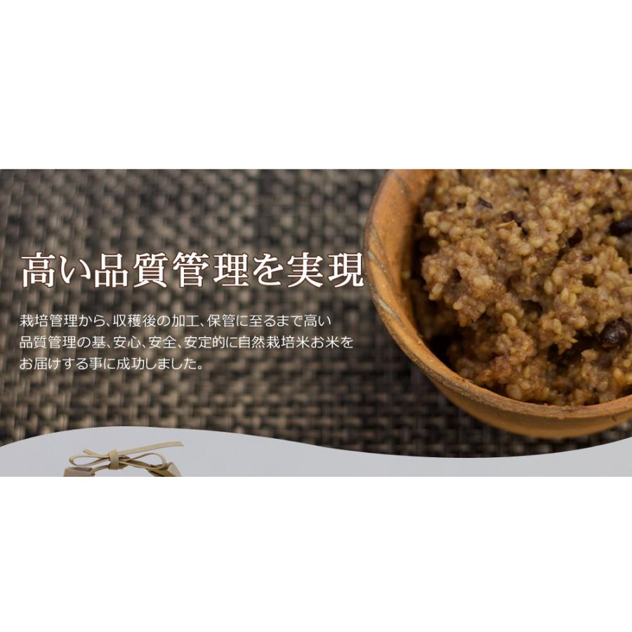 自然栽培 玄米 朝日米 木村式 自然栽培米 5kg 【玄米】 発芽酵素 自然栽培 玄米 朝日米 木村式 自然栽培米 5kg 【玄米】 発芽酵素