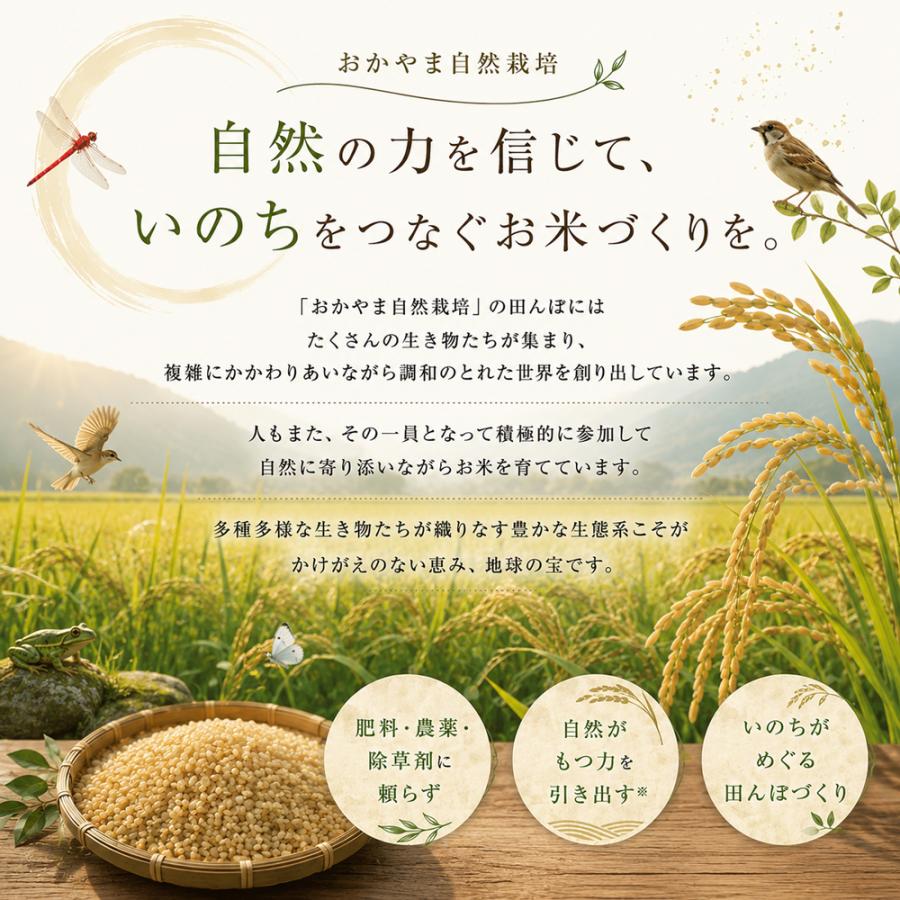 自然栽培 玄米 朝日米 木村式 自然栽培米 5kg 【玄米】 320g1個
