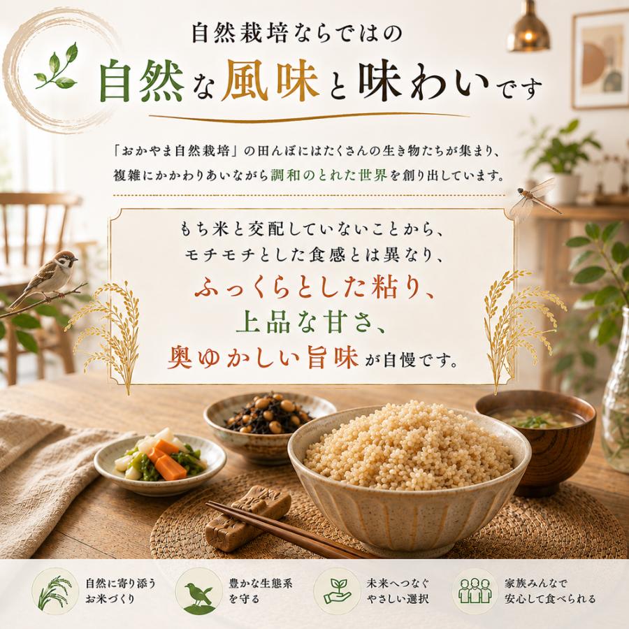 自然栽培 玄米 朝日米 木村式 自然栽培米 5kg 【玄米】 おかやま 無