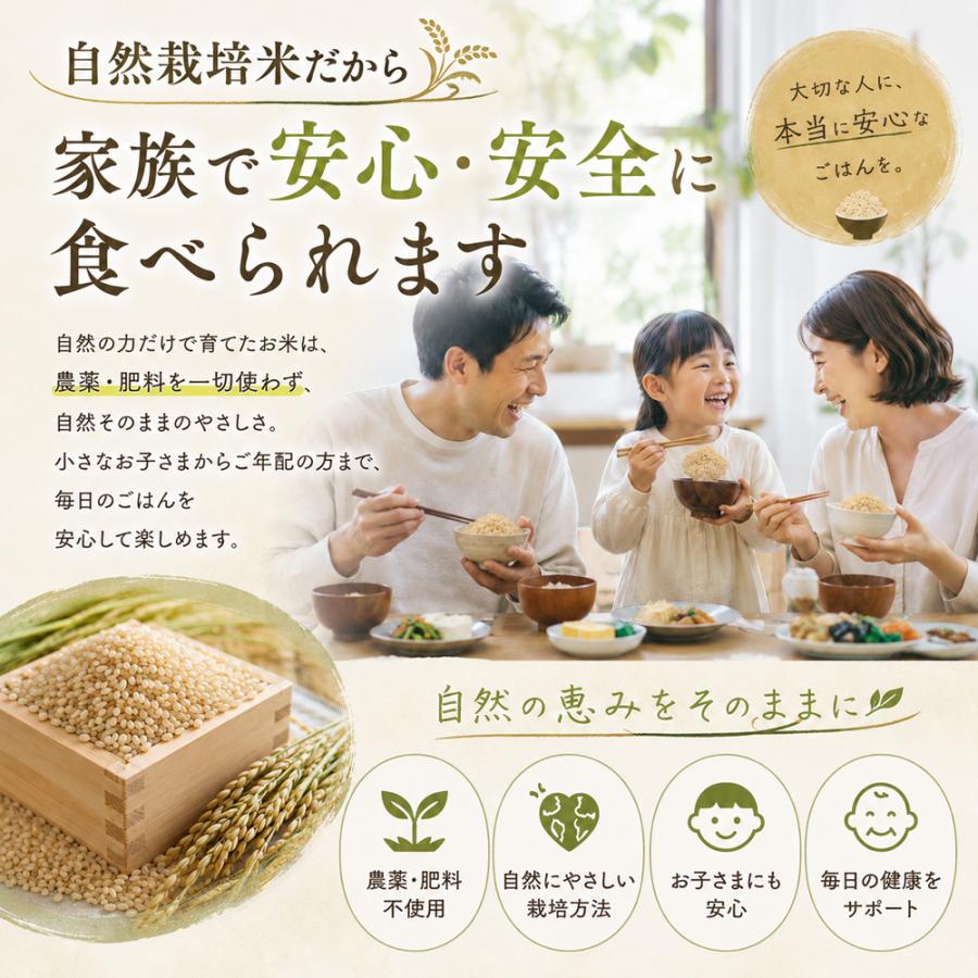 自然栽培 玄米 朝日米 木村式 自然栽培米 5kg 【玄米】 320g1個