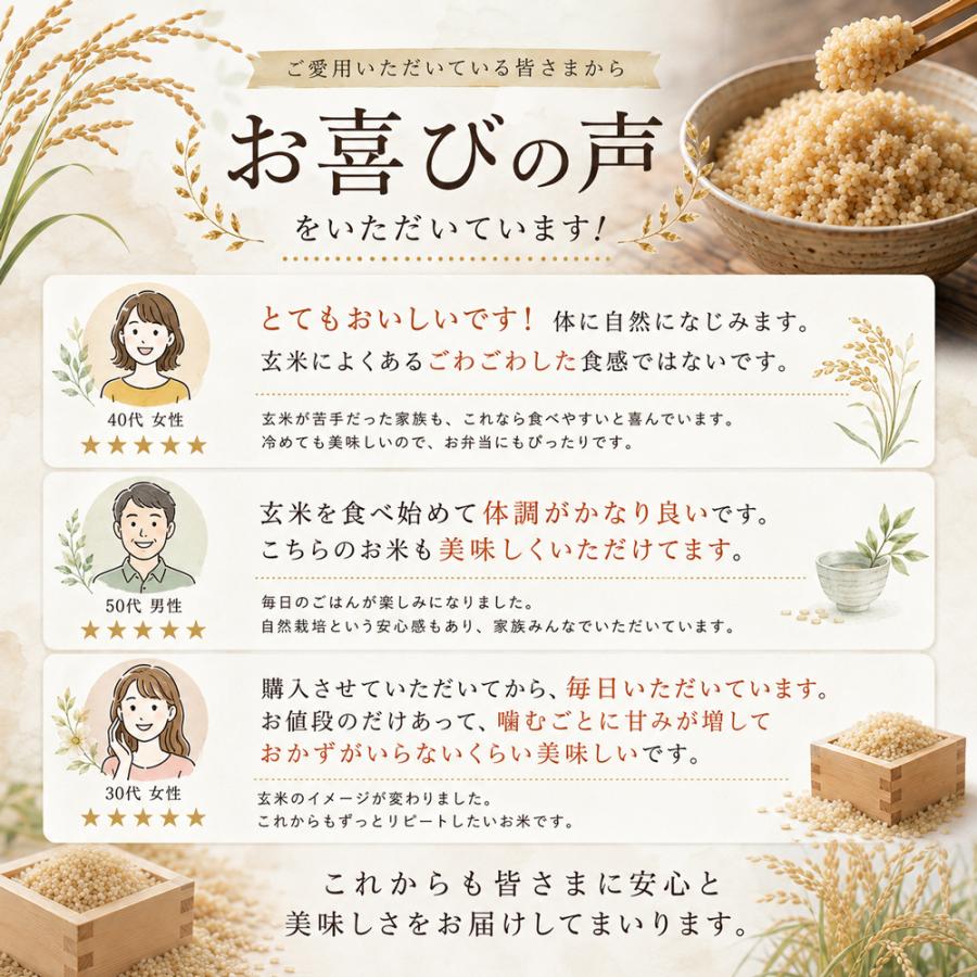 自然栽培 玄米 朝日米 木村式 自然栽培米 5kg 【玄米】 おかやま 無