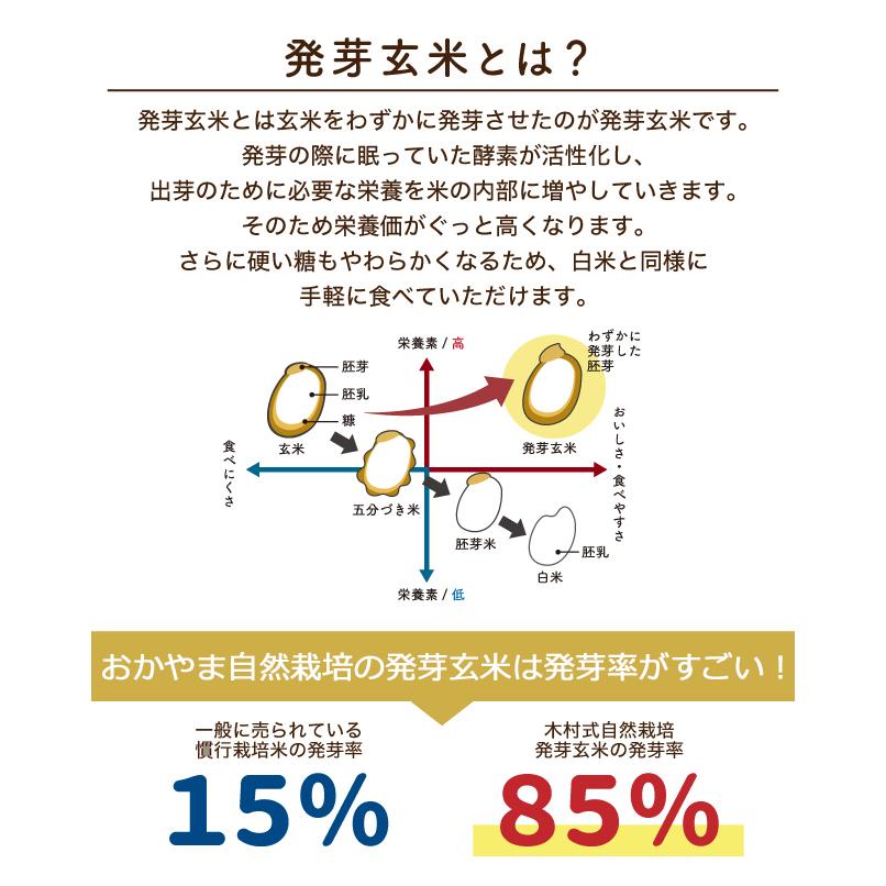 発芽玄米 パックご飯 20パック(180g×20個) レトルト 自然栽培 玄米 朝日米 木村式 農薬不使用 肥料不使用 除草剤不使用 非常食｜setouchi-myfarm｜04