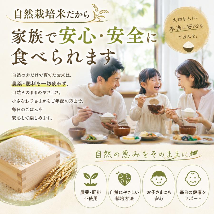 自然栽培 精米 朝日米 白米 木村式 自然栽培米 5kg 【精米