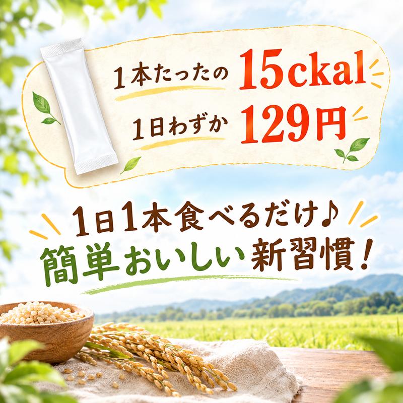 酵素玄米粉 自然栽培 食用 米ぬか パウダー 酵素玄米 【4g×30本】 自然