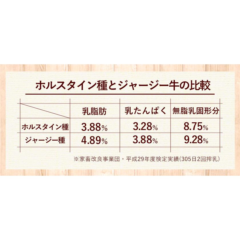 ケーキ 3袋セット 蒜山ジャージー牛乳使用 チーズケーキ(2袋) チョコケーキ(1袋)  送料無料 スイーツ《3-7営業日以内に出荷予定(土日祝日除く)》｜setouchifood｜07