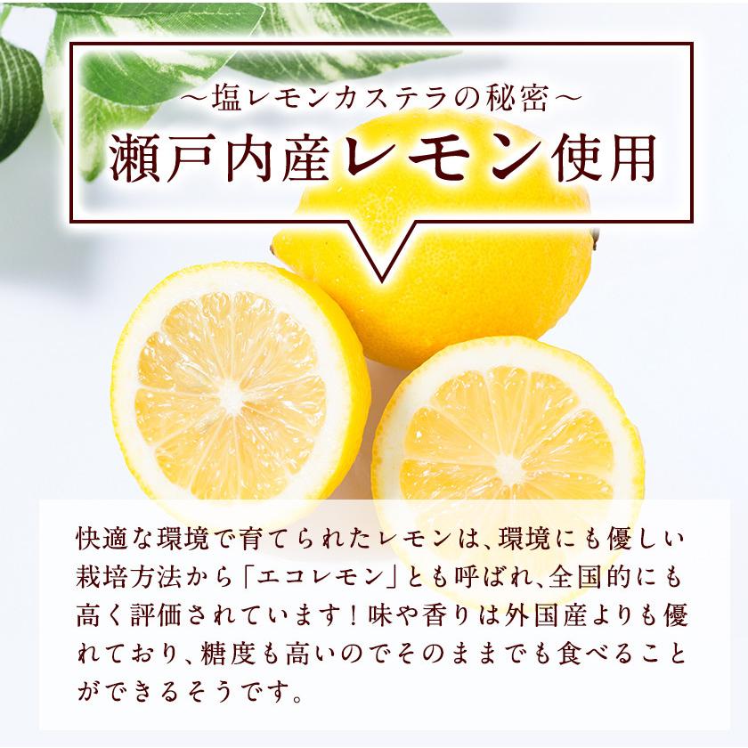 カステラ 瀬戸内塩レモン 1本約230g 送料無料 2本購入で1本おまけ増量 和菓子 訳あり お試し 7-14営業日以内に出荷予定（土日祝除く）｜setouchifood｜05