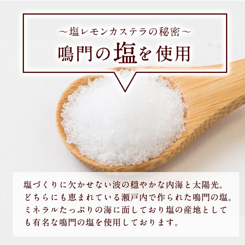 カステラ 瀬戸内塩レモン 1本約230g 送料無料 2本購入で1本おまけ増量 和菓子 訳あり お試し 7-14営業日以内に出荷予定（土日祝除く） |  | 05