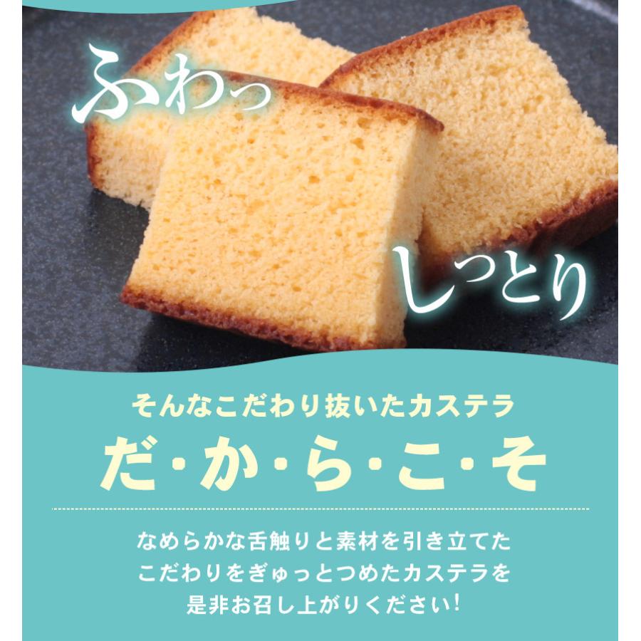 カステラ 瀬戸内塩レモン 1本約230g 送料無料 2本購入で1本おまけ増量 和菓子 訳あり お試し 7-14営業日以内に出荷予定（土日祝除く） |  | 08