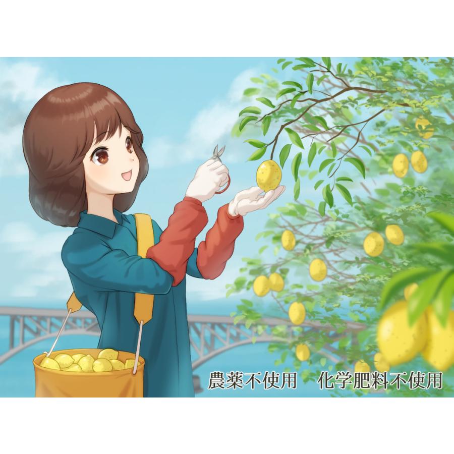 チルド便配送】採れたて発送！瀬戸内無農薬レモン 広島県産 国産