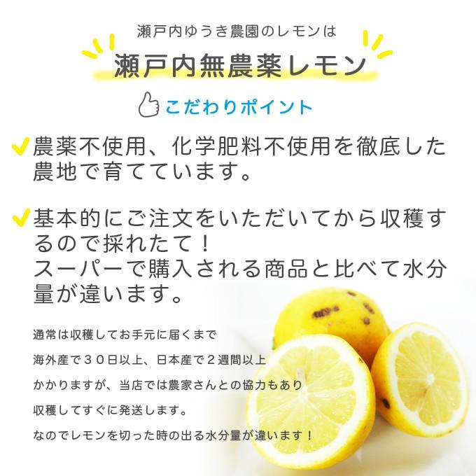 わかちゃん 無農薬レモン 7.5キロ わかちゃん 無農薬レモン 7.5キロ フレッシュ！cog-lab農園の