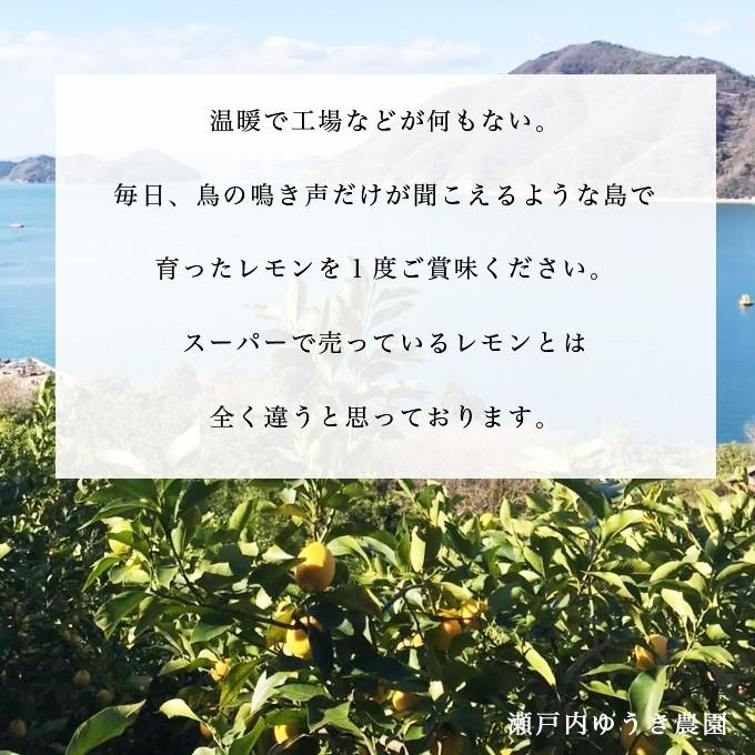 チルド便配送】採れたて発送！瀬戸内無農薬レモン 広島県産 国産