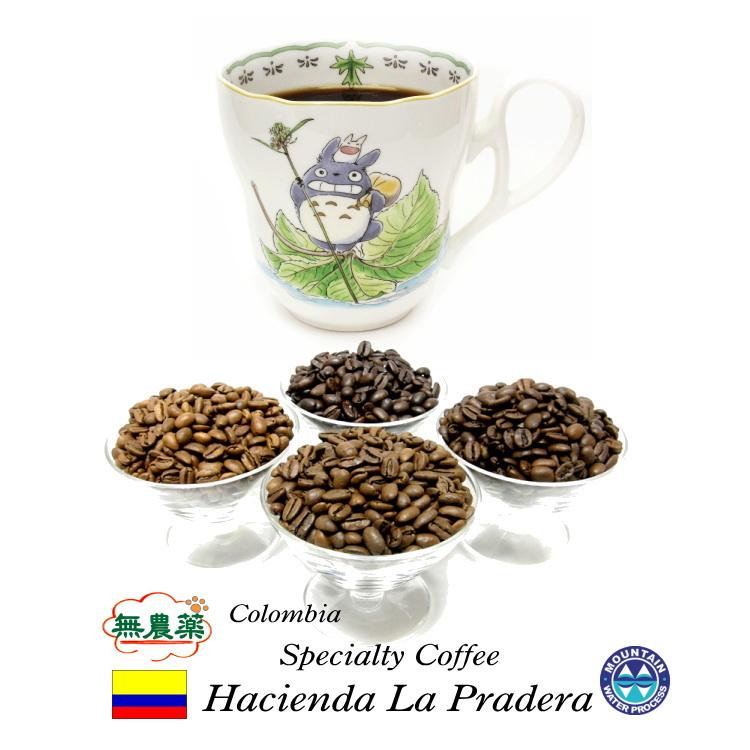 無農薬99 9 カフェインフリー オーダーメイド デカフェ コロンビア ラ プラデール農園 250g カフェインレスコーヒー ディカフェ Dccm 250y 瀬戸焼珈琲yahoo 店 通販 Yahoo ショッピング
