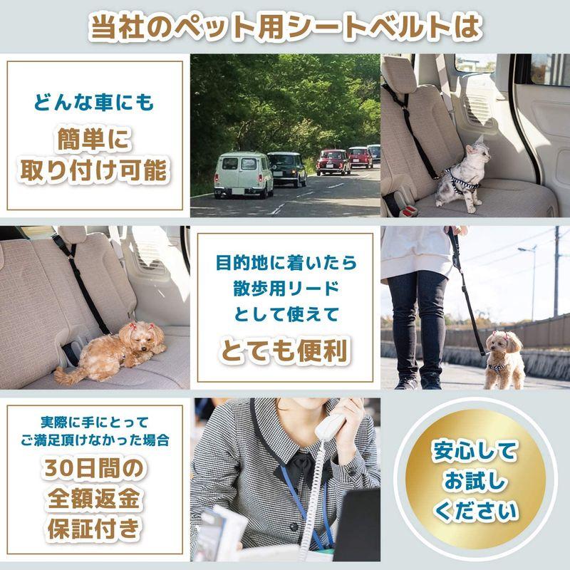 送料無料 ペット用 シートベルト レッド リード ゲージ 散歩 旅行 犬 猫 ワンちゃん