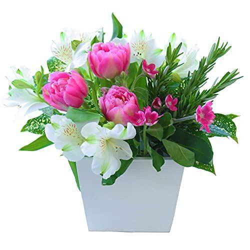 メール便なら送料無料 母の日 花 プレゼント 高級 フラワーアレンジメント 生花 カーネーション お祝い 誕生日 ギフト フラワーデザイナーおまかせ ピンク色系 売り切れ必至 Www Technet 21 Org