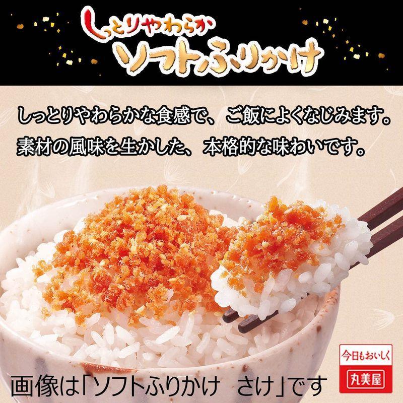 定期入れの 丸美屋食品工業 ソフトふりかけ 牛そぼろごぼう 28g 10個 Rmladv Com Br