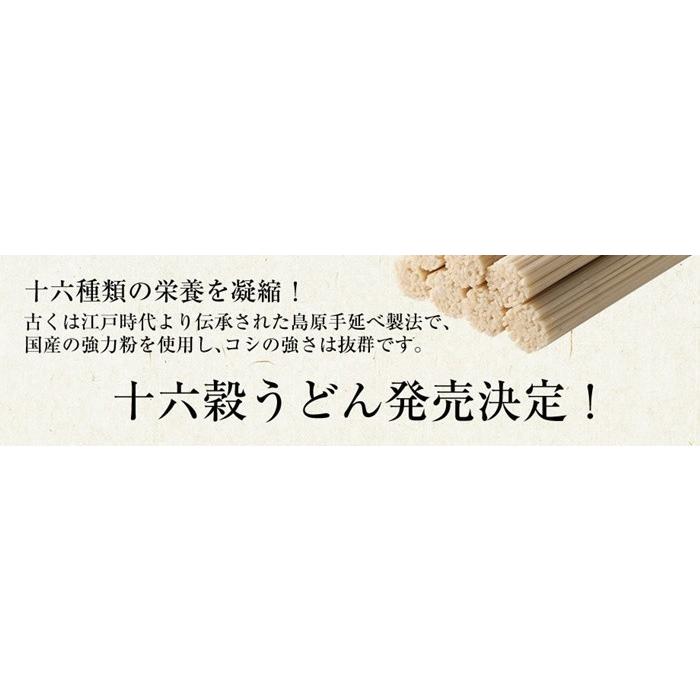 お取り寄せ グルメ 食品 ご当地 贈り物 贈答 お土産 もち麦うどん  送料無料  十六穀うどん もち麦 島原 手土産 長崎 乾麺 48束入り |  | 05
