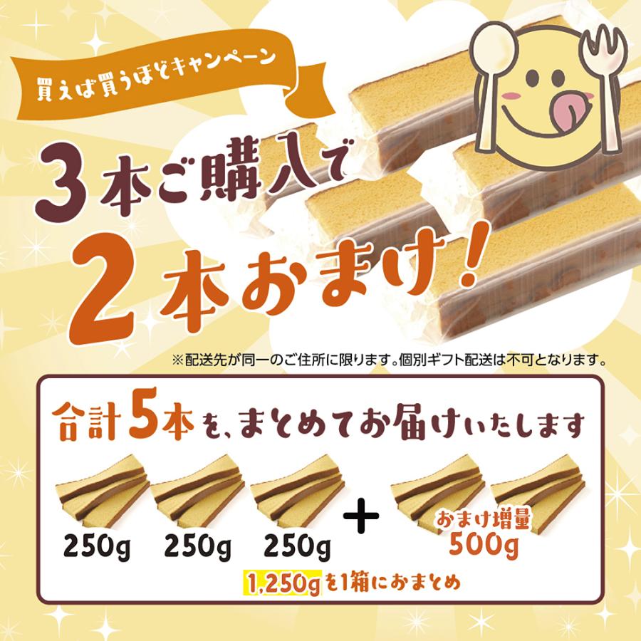 カステラ 訳あり 長崎カステラ 切り落とし 250g (125g×2切れ) : お中元