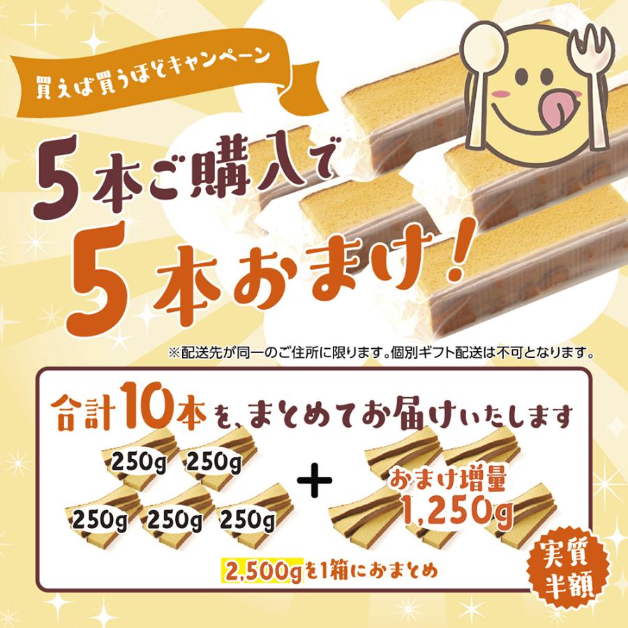 カステラ 訳あり 長崎カステラ 切り落とし 250g (125g×2切れ) : お中元