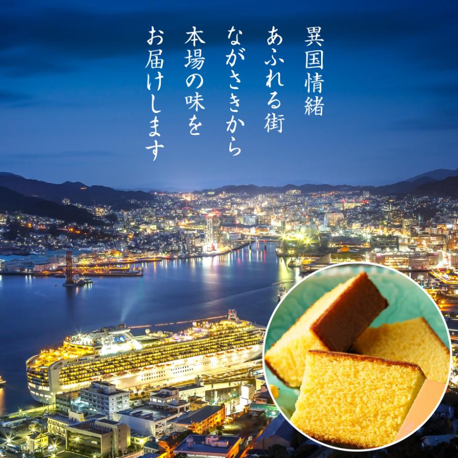 カステラ ギフト 長崎カステラ 250g×2本入 内祝い お返し 結婚 お