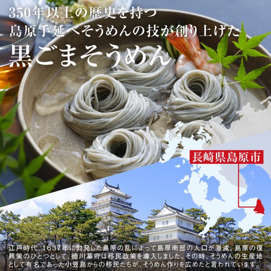 島原手延べそうめん 島原 手延べ 黒ごまそうめん 500g (10束入) 長崎