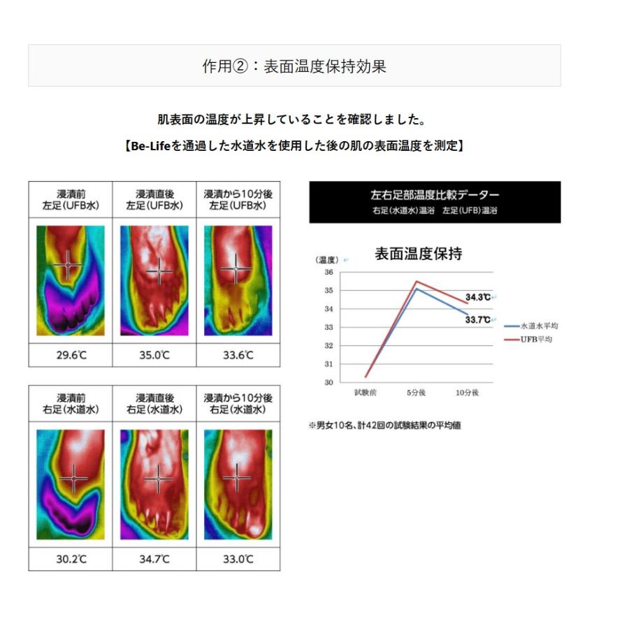 正規品[Be-Life]富士計器 ウルトラファインバブル発生器　Bubble-Meister Be-Life 20A |  | 11