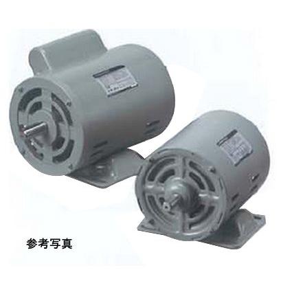 【受注生産品】 一宮電機 単相モータ AEC-DBF4P250W AC100V コンデンサ始動式 防滴保護形 標準形 モーター