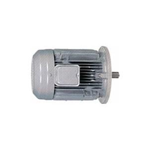 日立 三相モータ YTFOA-LK-2.2kW-2P-AC200V 全閉外扇 屋外仕様 横型フランジ取付 ブレーキ無し ザ・モートルNeo100 Premium