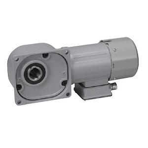ニッセイ ギアモータ 中空軸 FS25N10-MM01TWJNJ4 0.1kW 三相400V ブレーキ手動解放装置付