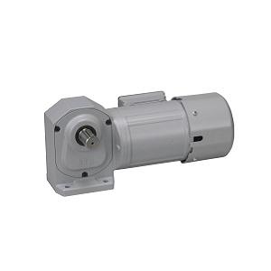 ニッセイ ギアモータ 直交軸 H2L28L100-MM02TNNTJ2 脚取付 0.2kW 三相200V ブレーキ手動解放装置付