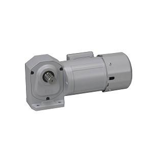 ニッセイ ギアモータ 直交軸 H2L40L80-WD08TWNEN 脚取付 防水(屋外) 0.75kW 三相400V ブレーキ無