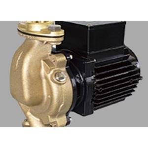 三相電機 丹銅製生産ライン揚水機 25PBGZ-1031B 全閉原動機 差しわたし25A(1B) 最終生産物100W(60サイクル) 単相100V PBG(U)Z型 野外 DIY、工具-水回り、配管-住宅設備