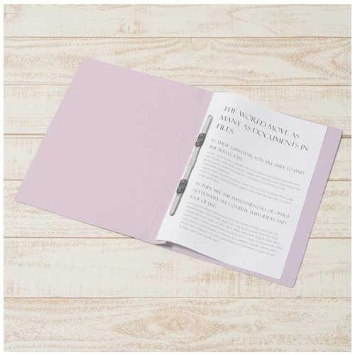 PLUS 261052)フラットファイル NO.021N10VL 021N A4S VL 10冊 10PKまとめ売り 【まとめ売り商品】の画像